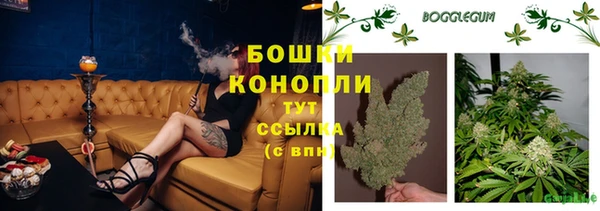 дмт Россошь