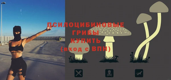 соль ск Ростов