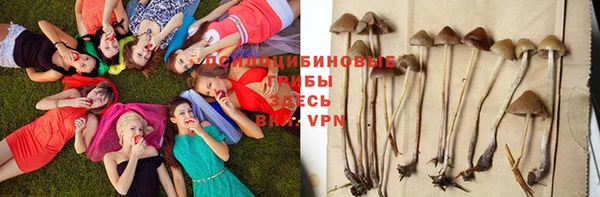 соль ск Ростов