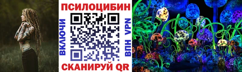 Купить  Спасск-Рязанский  Псилоцибиновые грибы прущие грибы